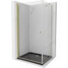 Mexen Pretoria sprchová kabína, kyvné dvere 80 x 100 cm, Transparentné, Zlatá + sprchová vanička Flat, Čierna - 852-080-100-50-0