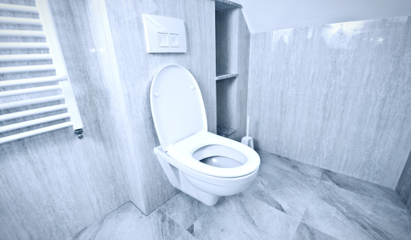 Aký podomietkový rám na WC vybrať?