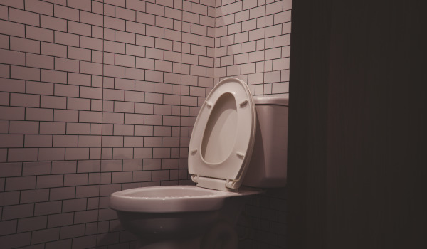 Ako kúpiť dobré WC sedadlo?