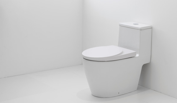 Ako zladiť WC misu s dizajnom?